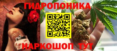 СК Коммунар