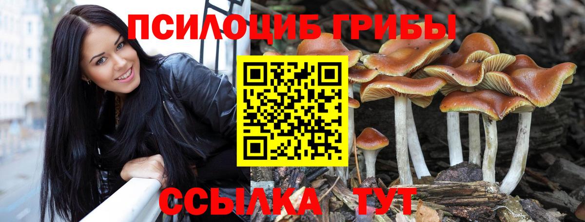 Клин  Галлюциногенные грибы Psilocybe  Вход с VPN 