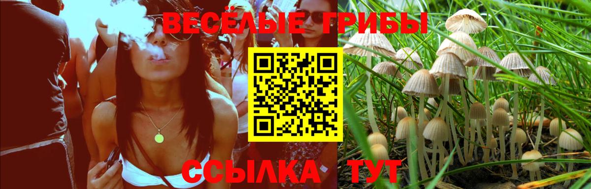 Галлюциногенные грибы Cubensis Клин